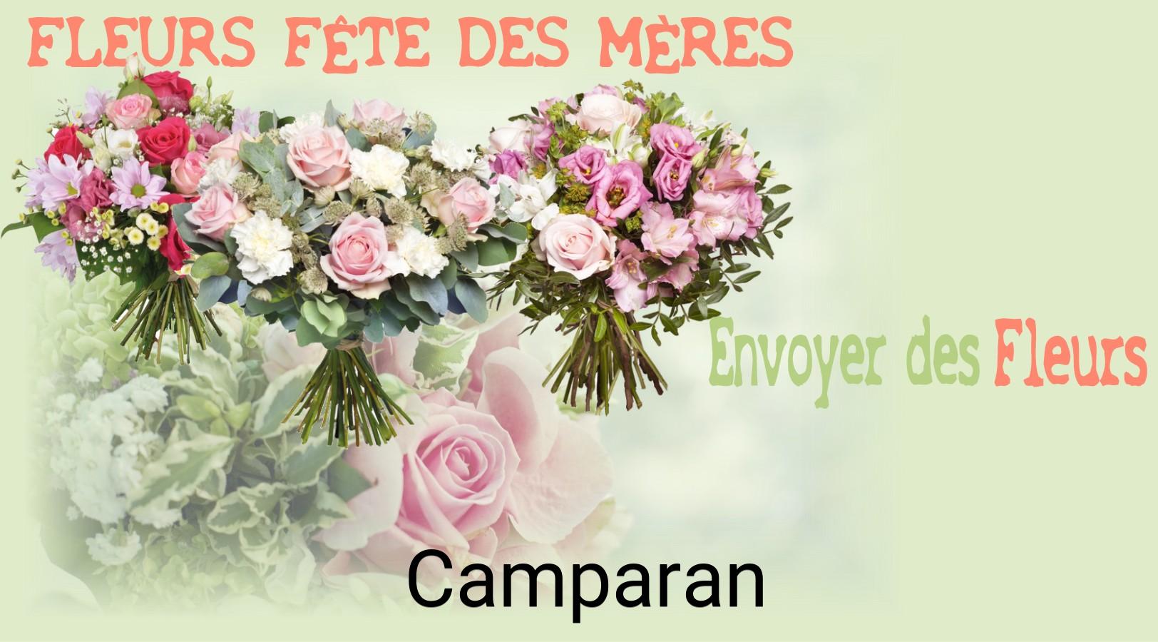 Bouquet de Fête des Mères livré à Camparan